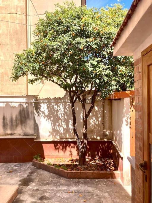 Villa Orlando Mondello Palermo Exterior foto